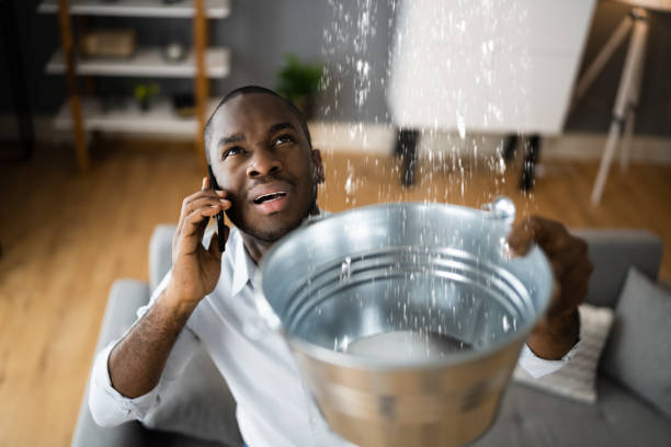 Best Residential water damage restoration  in Lisbon, ND