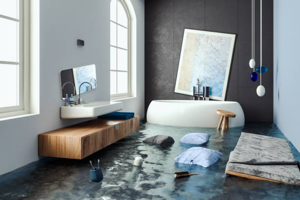 Best Professional water damage repair  in Lisbon, ND