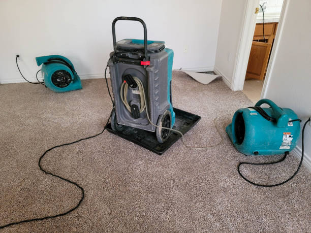 Best 24-hour water damage restoration  in Lisbon, ND