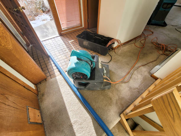 Best Mold removal after water damage  in Lisbon, ND