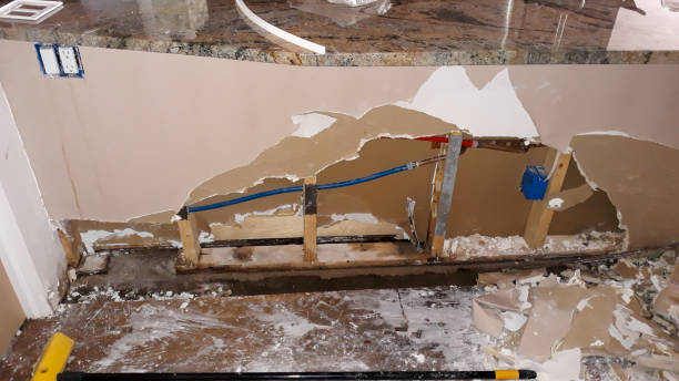 Best Water damage restoration near me  in Lisbon, ND