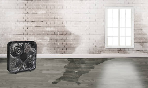 , ND Water damage restoration Company