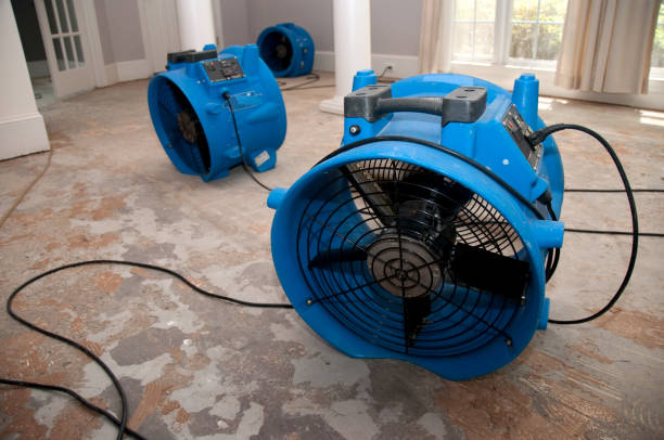 Best Water damage restoration company  in Lisbon, ND