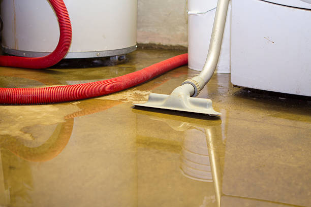 Best Emergency water damage restoration  in Lisbon, ND
