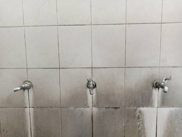 Best Carpet water damage restoration  in Lisbon, ND