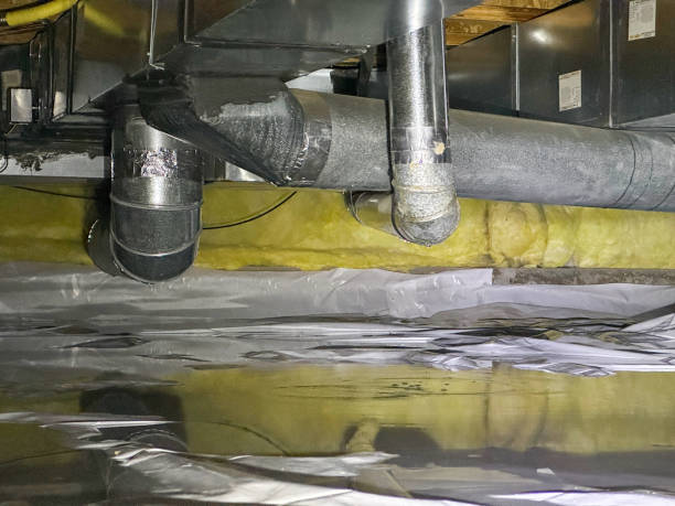Best Fire Damage Restoration  in Lisbon, ND
