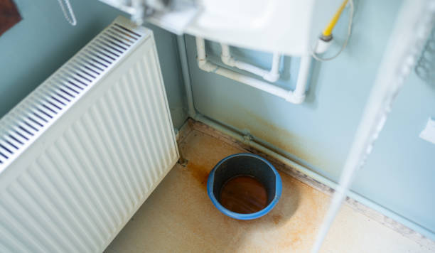 Best Water damage contractors near me  in Lisbon, ND