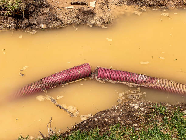 Best Water damage restoration near me  in Lisbon, ND