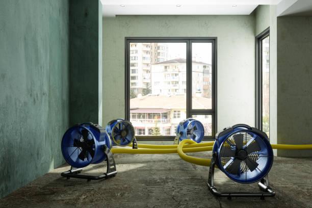 Best Carpet water damage restoration  in Lisbon, ND